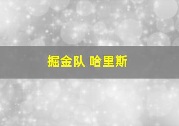 掘金队 哈里斯